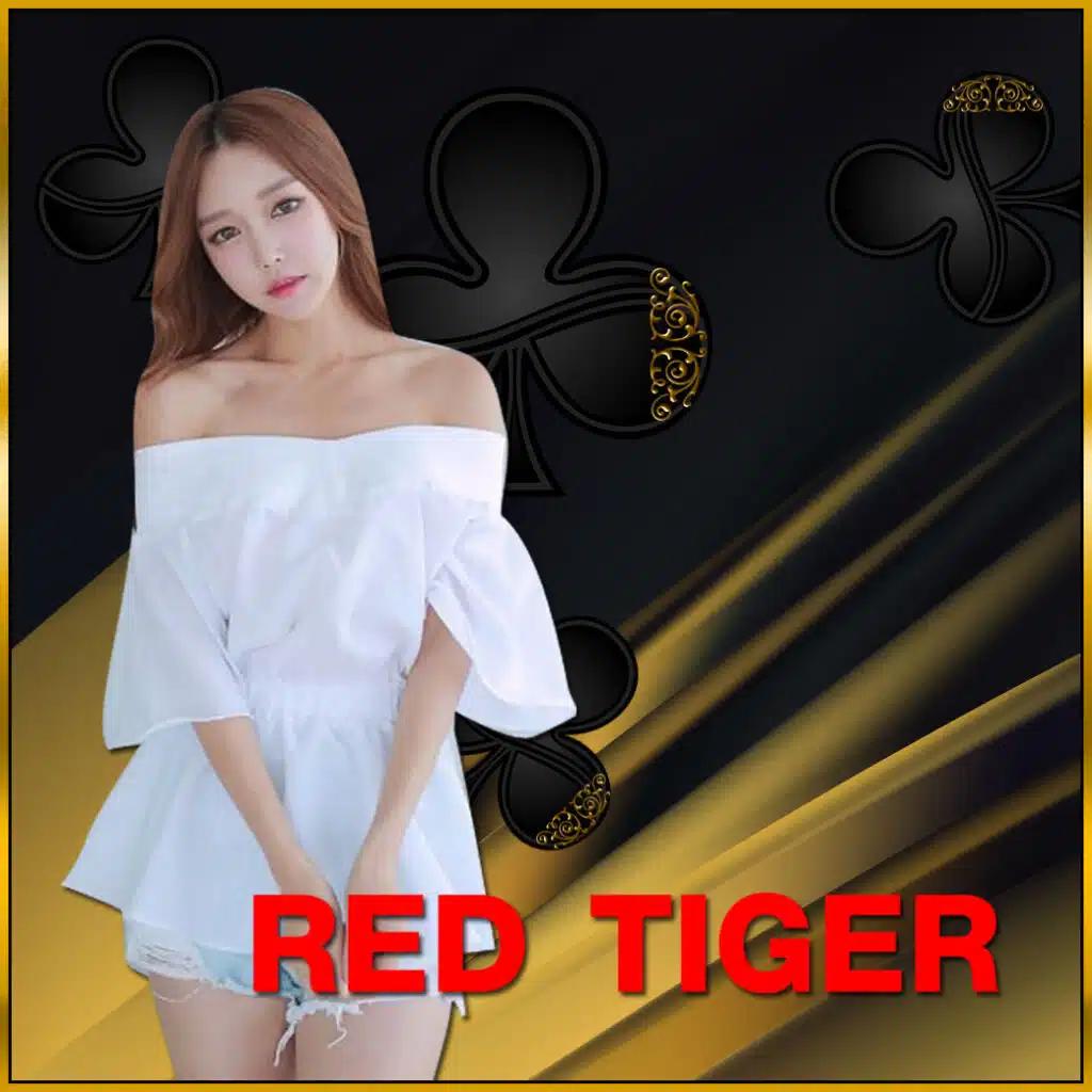 ผลบอลสดเมื่อคืนนี้ รวมทุกลีก 888 อัปเดตสดใหม่ทุกวัน